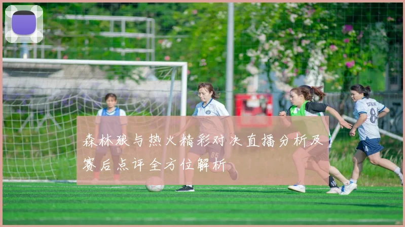 森林狼与热火精彩对决直播分析及赛后点评全方位解析