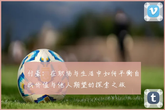 付豪：在职场与生活中如何平衡自我价值与他人期望的探索之旅
